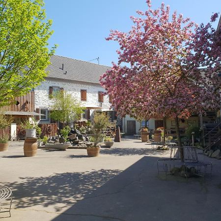 Besondere Ferienwohnung Spirit Auf Idyllischem Reiterhof Nahe Burg Eltz Munstermaifeld Exterior photo
