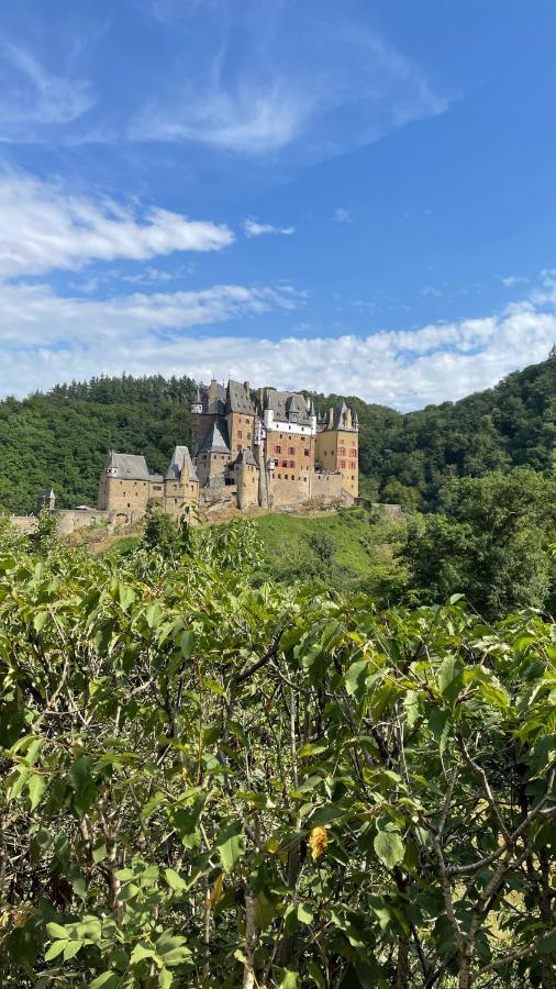 Besondere Ferienwohnung Spirit Auf Idyllischem Reiterhof Nahe Burg Eltz Munstermaifeld Exterior photo